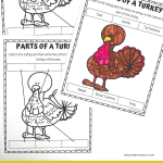PARTS OF A TURKEY WORKSHEETS