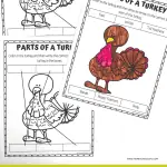 PARTS OF A TURKEY WORKSHEETS