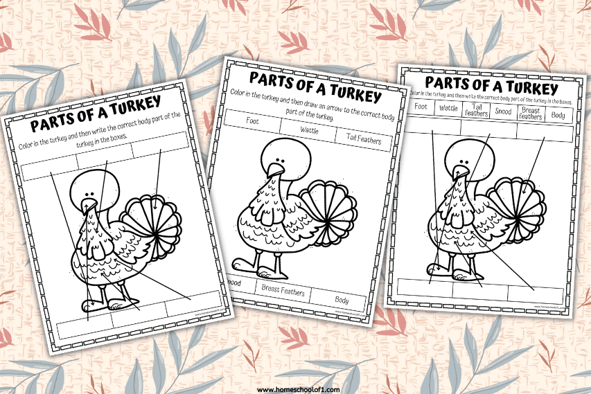 PARTS OF A TURKEY WORKSHEETS