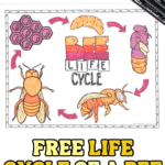 bee coloring page