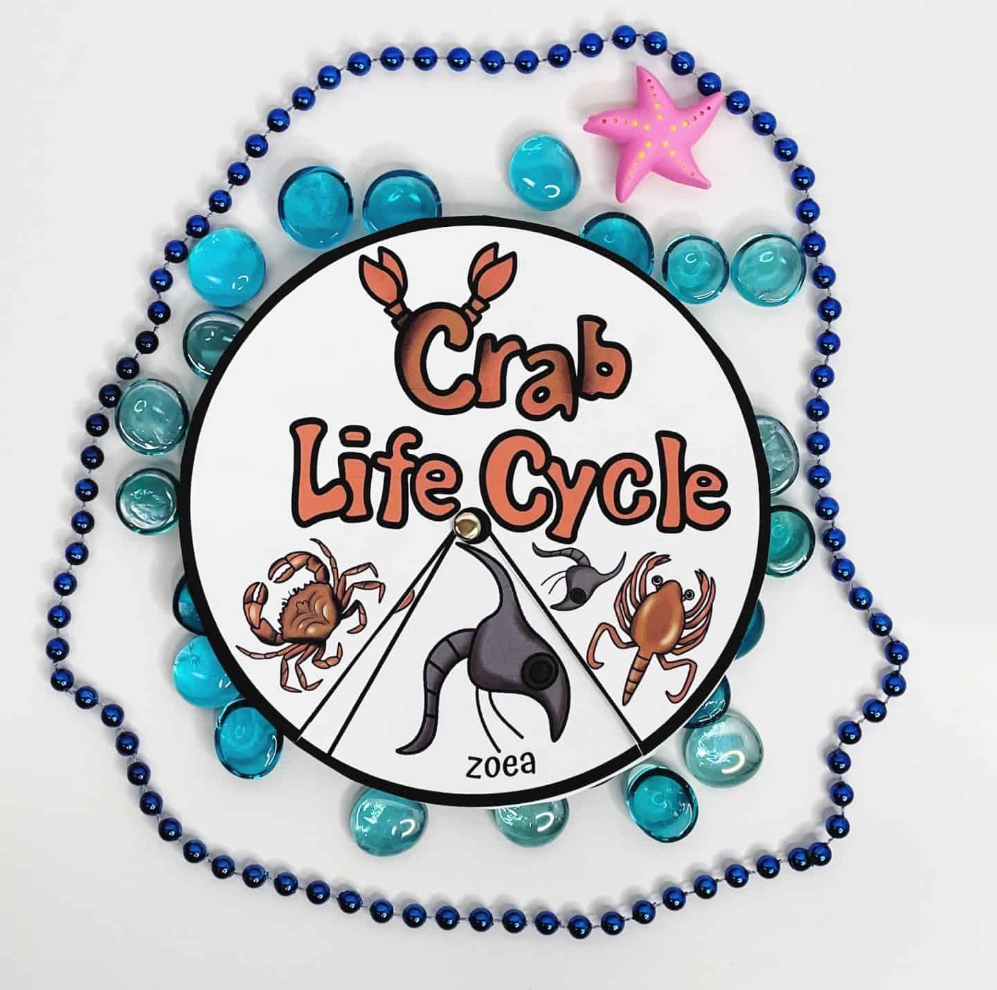 Crab life cycle spinner craft for kids, featuring illustrated stages of a crab’s development including zoea, megalopa, juvenile, and adult, surrounded by blue beads, glass pebbles, and a pink starfish decoration.

