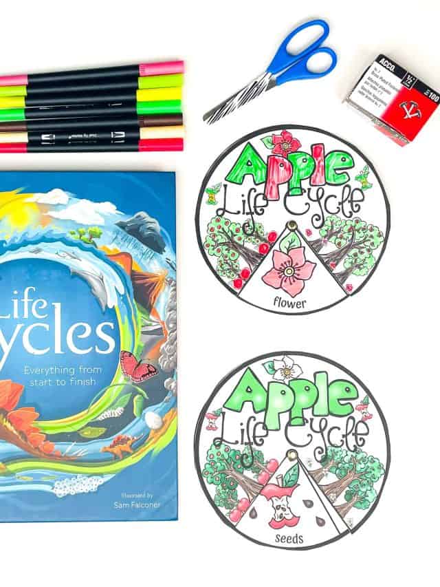 APPLE LIFE CYCLE SPINNER WHEEL FREE