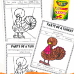 Free printable turkey anatomy worksheet with black-and-white and colored versions, crayons, and labels for key turkey body parts like snood, wattle, and tail feathers.