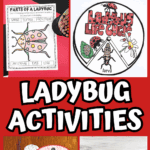 Preschool ladybug learning activities with printable worksheets, life cycle spinner, and friendship craft ideas