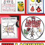 Ladybug preschool activities featuring writing, life cycle spinner, labeling worksheet, and playdough life cycle mat
