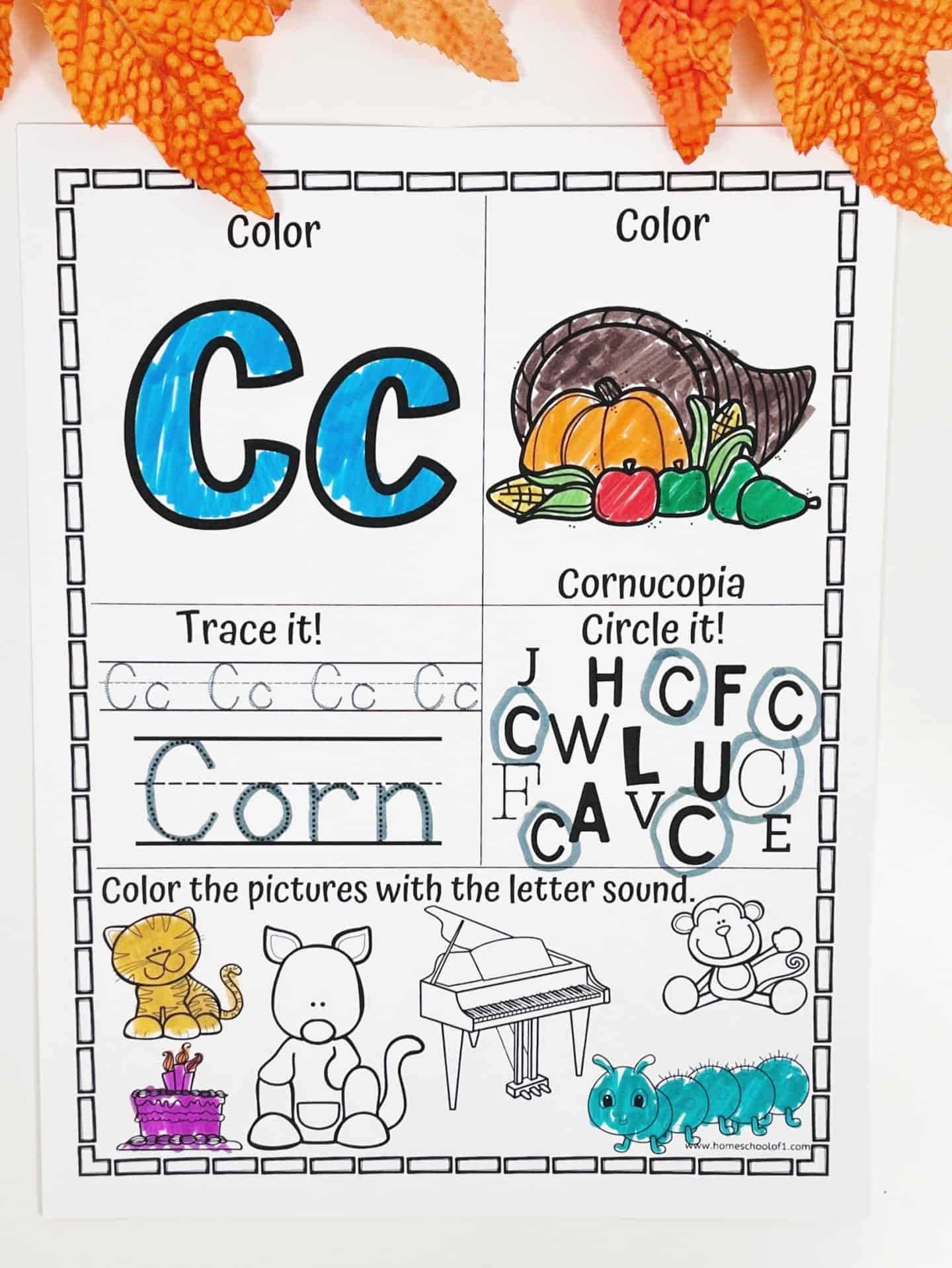 A Thanksgiving-themed alphabet worksheet focuses on the letter C. The top section shows the uppercase and lowercase "Cc" colored in blue and a cornucopia illustration colored with fall tones. Below, students trace the word "Corn," circle all the letter Cs in a jumble of uppercase letters, and color pictures that start with the C sound—such as a cat, cake, caterpillar, and corn. The worksheet is surrounded by decorative orange fall leaves.