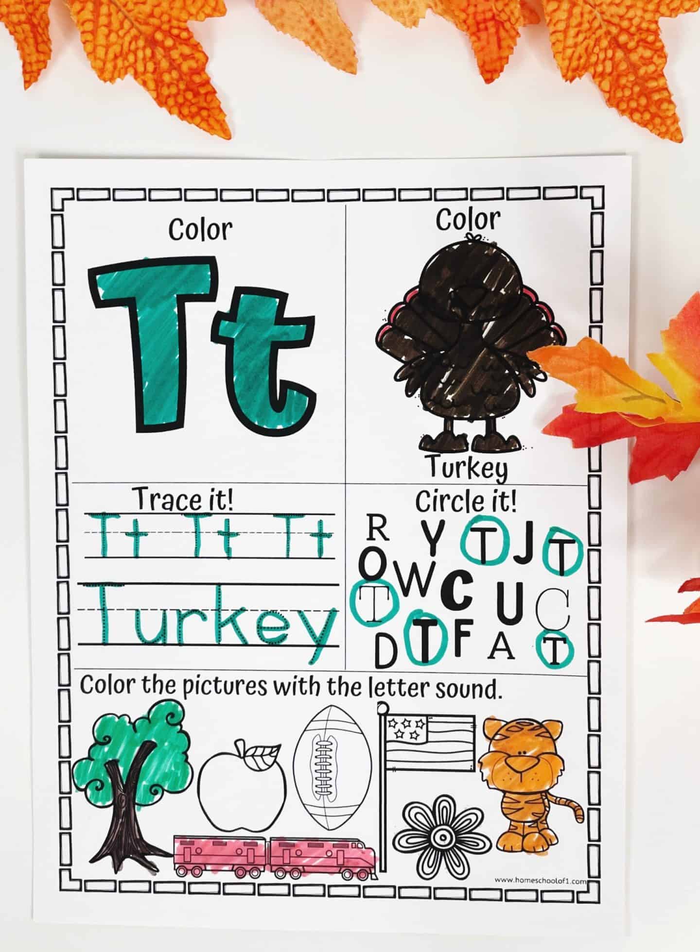 A Thanksgiving-themed alphabet worksheet focuses on the letter T. The uppercase and lowercase "Tt" are colored in teal, with a turkey illustration filled in with dark brown. Students trace the word "Turkey" and circle all the T’s from a mix of uppercase letters. At the bottom, images representing the T sound—such as a tree, train, tiger, and tulip—are colored. The page is decorated with fall leaves at the top