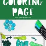 life cycle of a frog coloring page