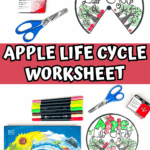 Printable apple life cycle spinner worksheet with coloring stages from seed to apple, craft supplies, and DK Life Cycles book.