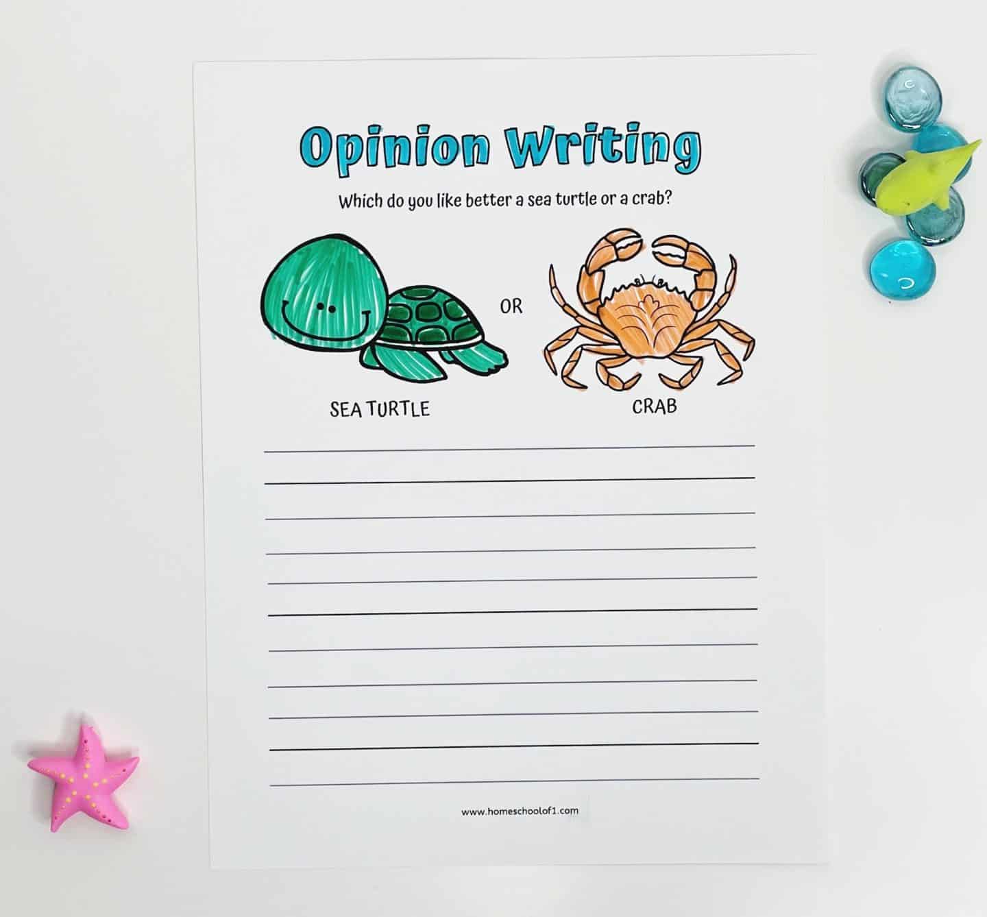 Opinion writing worksheet for kids asking whether they prefer a sea turtle or a crab, with cartoon illustrations of both animals and lined space for a written response, decorated with ocean-themed items.