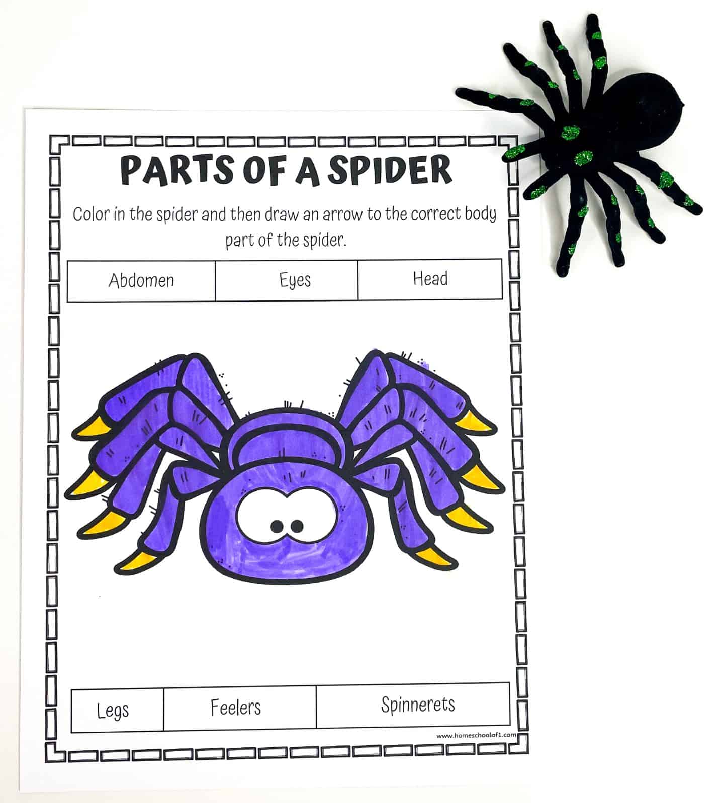 A "Parts of a Spider" worksheet designed for kids, featuring a cartoon spider colored in purple with yellow-tipped legs. The worksheet prompts students to color the spider and draw arrows to label body parts including abdomen, eyes, head, legs, feelers, and spinnerets. A toy spider with green accents is placed in the top right corner for decoration.