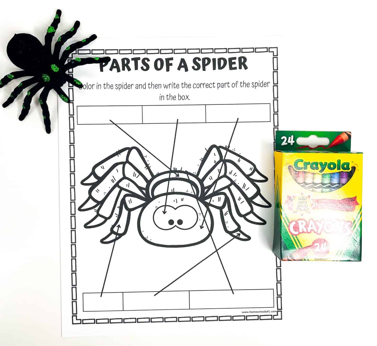 A Parts of a Spider coloring page for kids featuring a cartoon spider with arrows pointing to different body parts. The activity instructs children to color the spider and label parts in the blank boxes. A black and green toy spider sits in the top left corner, and a 24-pack of Crayola crayons is placed on the right side of the page.

