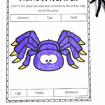 Printable parts of a spider worksheet for kids featuring a labeled cartoon spider with anatomy terms to trace and color.