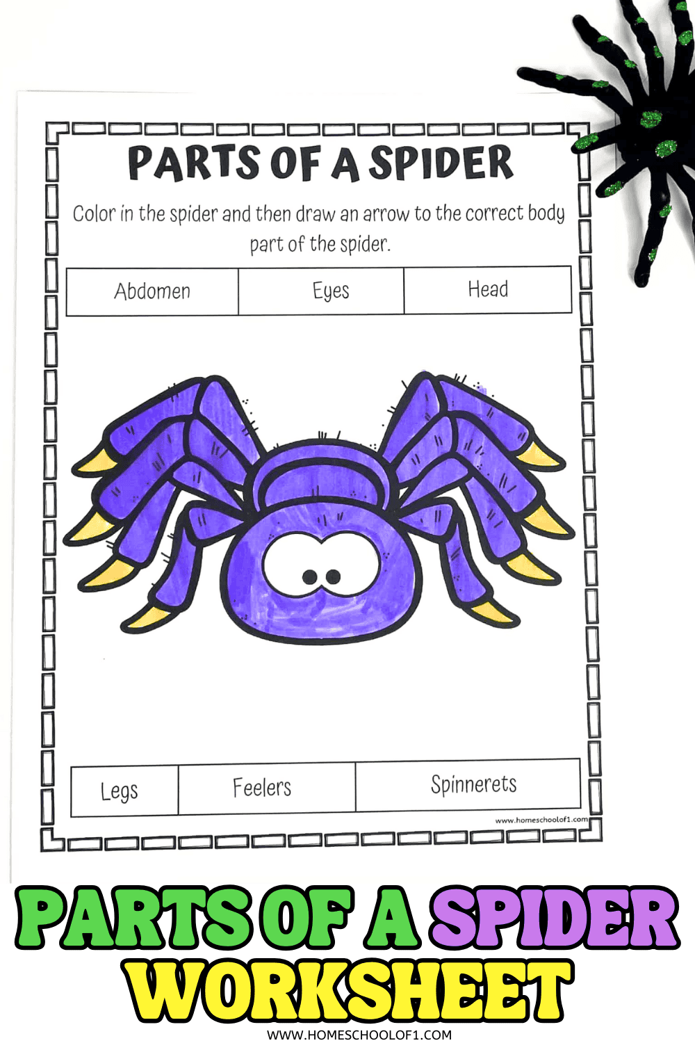 Printable parts of a spider worksheet for kids featuring a labeled cartoon spider with anatomy terms to trace and color.