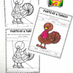 Printable worksheet showing the labeled parts of a turkey, including foot, wattle, snood, breast feathers, tail feathers, and body, with space for kids to color and write.