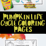 pumpkin life cycle coloring pages