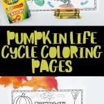 pumpkin life cycle coloring pages