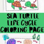 sea turtle coloring page