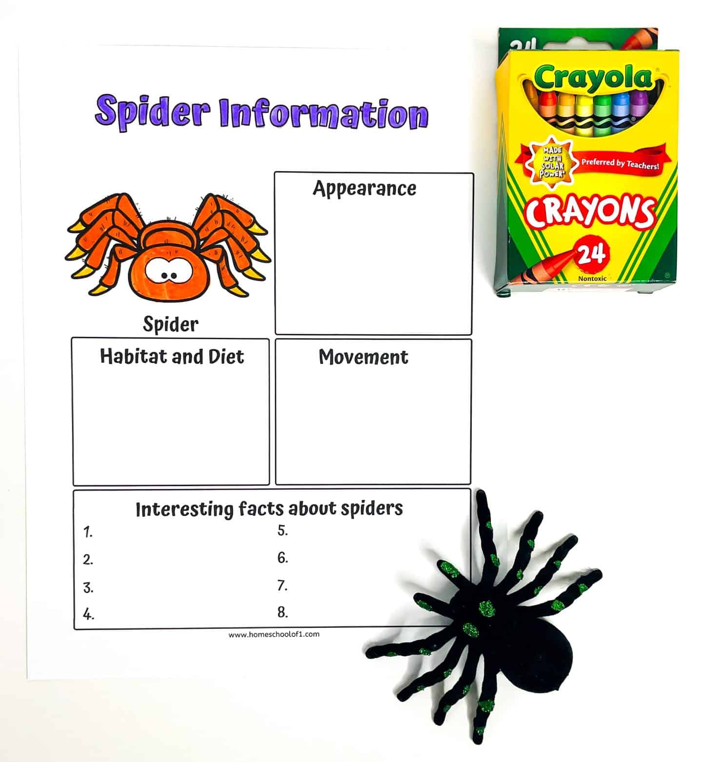 Spider life cycle worksheet titled “Spider Information” with sections to fill in about a spider’s appearance, habitat and diet, movement, and eight fun facts, shown alongside a box of crayons and a toy spider for an engaging classroom activity.