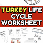 Turkey life cycle printable pack featuring craft spinner, sequencing cards, parts of a turkey worksheet, and opinion writing prompt.