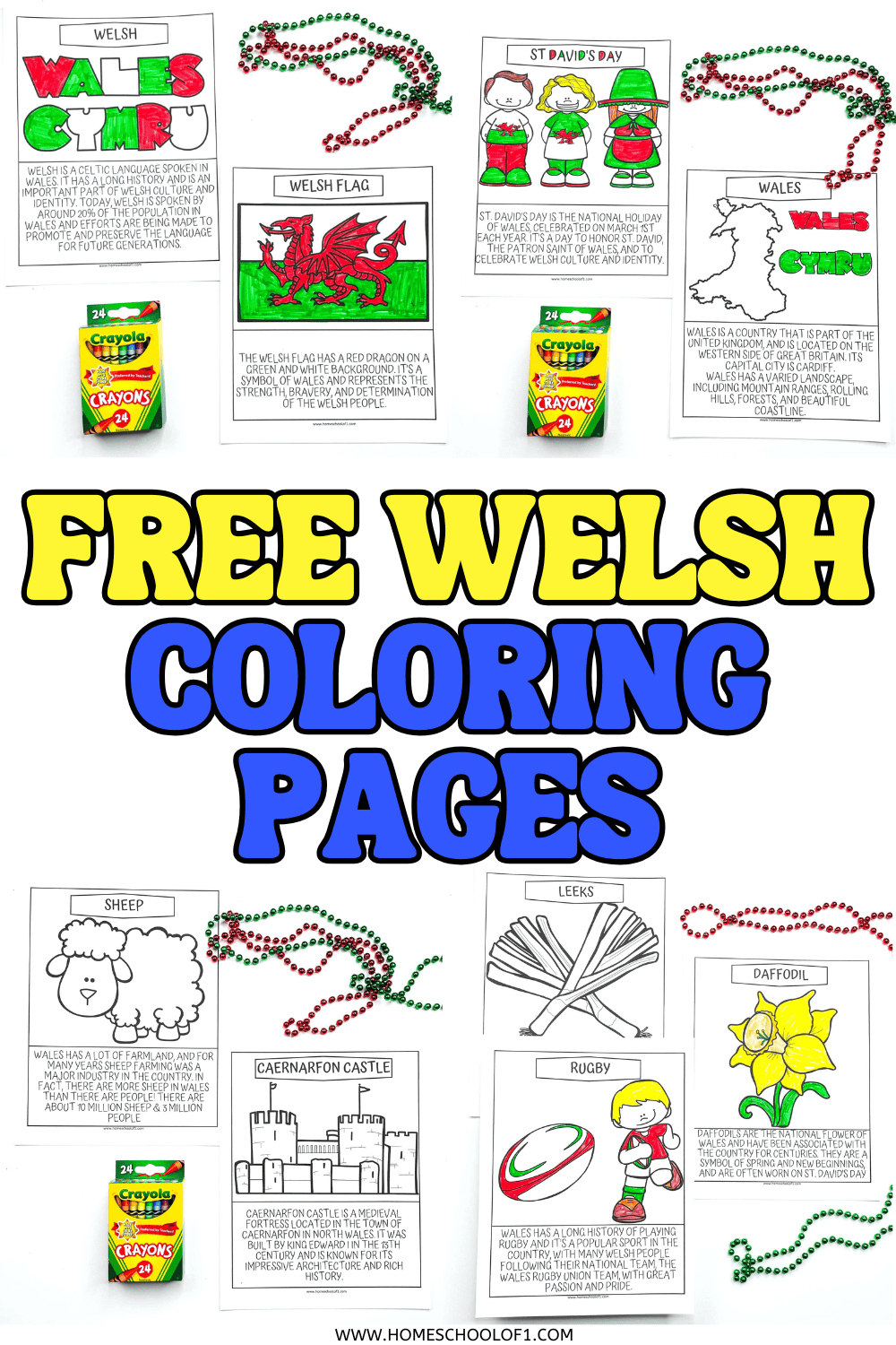 Free Welsh coloring pages featuring the Wales flag, St. Davidโs Day, sheep, daffodils, leeks, rugby, and Caernarfon Castle with short educational facts for kids