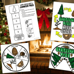 CONIFER TREE LIFE CYCLE WORKSHEETS