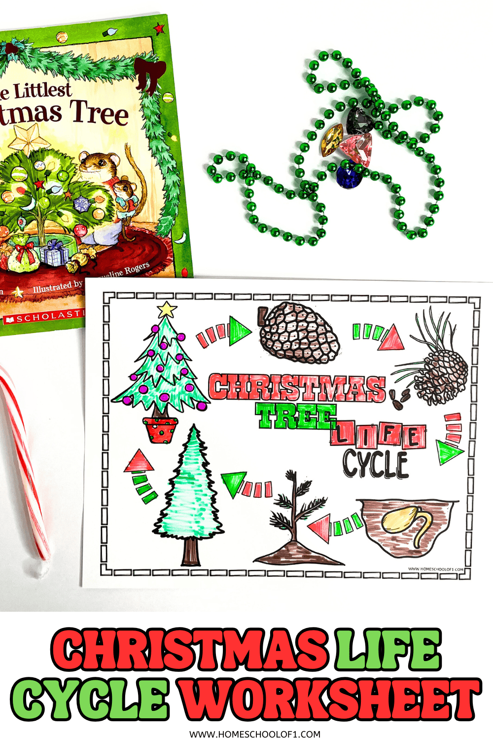 Colored Christmas tree life cycle worksheet with book, beads, and candy cane.


