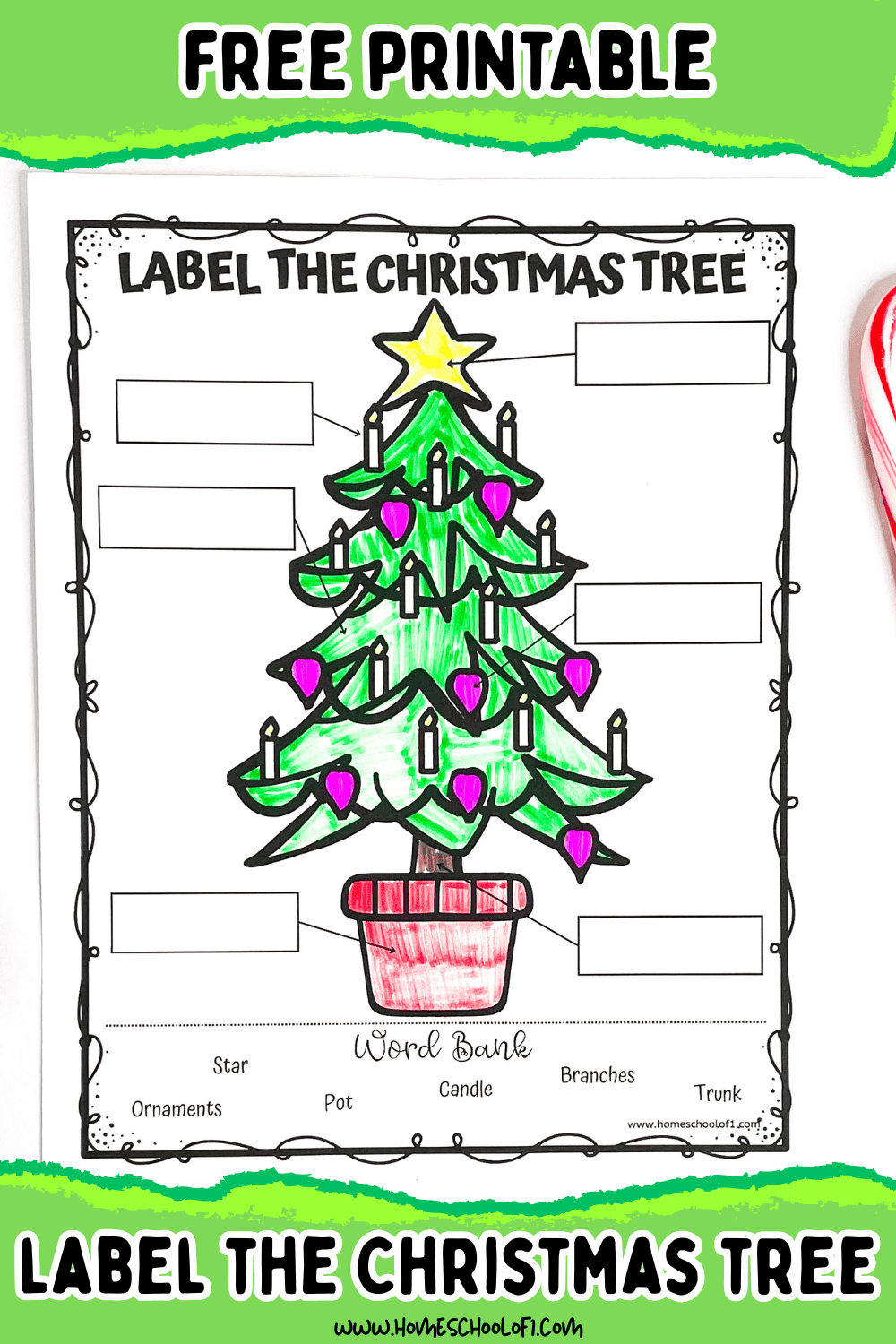 Free Parts of a Christmas Tree Worksheet