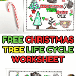 Colorful Christmas tree life cycle worksheet next to candy cane and book.