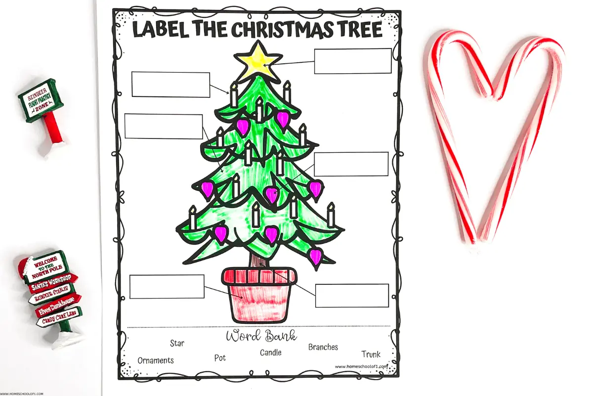 Free Parts of a Christmas Tree Worksheet