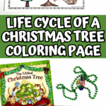 Christmas tree life cycle worksheet fully colored with holiday jewels nearby.