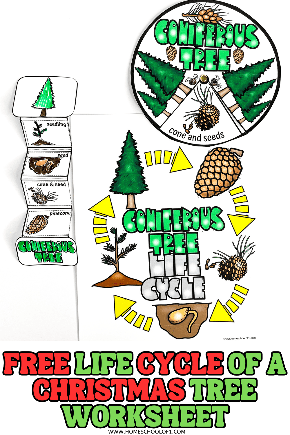 Colorful printable showing the life cycle of a Christmas tree, with spinner wheel and cut-and-paste craft for kids.

