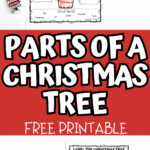 Worksheet labeled with kid handwriting showing parts of a Christmas tree next to a holiday book and pencil for a hands-on activity.