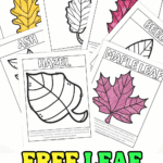 Printable leaf coloring pages for kids featuring ash, holly, maple, hazel, beech, and oak leaves with tree facts.