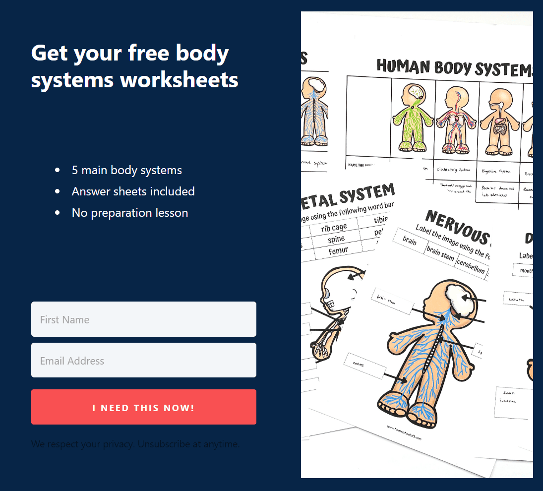 how to find the free printables - homeschoolof1