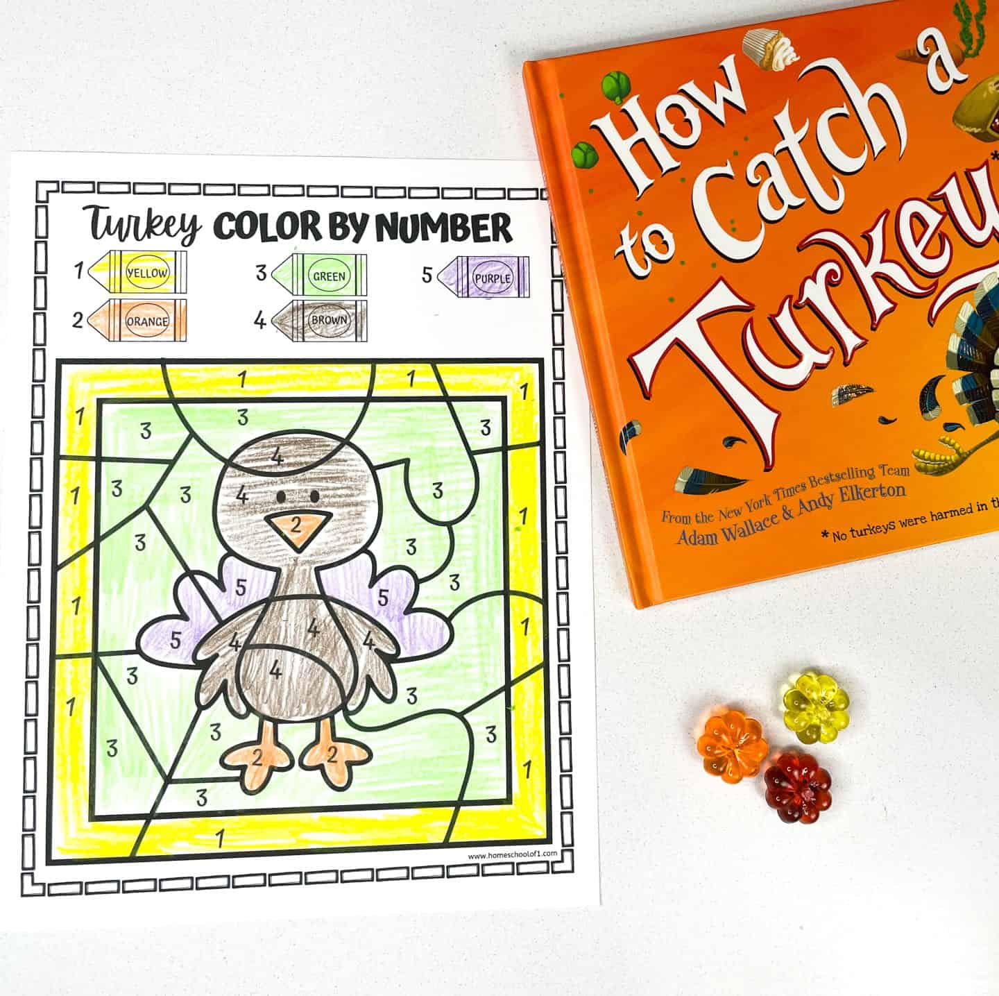 simple turkey color by number
