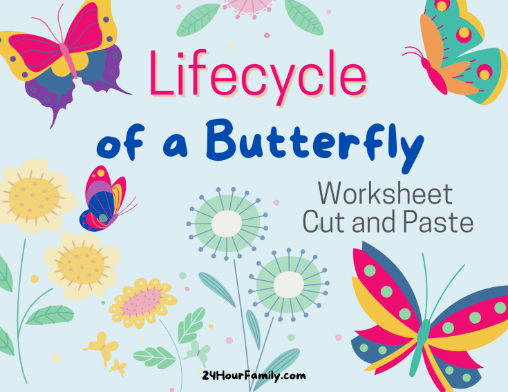 25 Butterfly Life Cycle Activities for Preschoolers