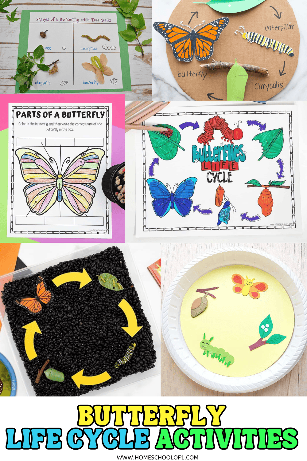 A collage of hands-on butterfly life cycle activities for kids, including printable worksheets, crafts with real leaves and beans, and coloring pages.