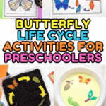 Engaging butterfly life cycle projects for preschoolers with labeled visuals of each stage—egg, caterpillar, chrysalis, and butterfly—using crafts and sensory bins.