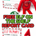 Two Elf report cards filled out for Freddie and Molly with Elf dolls and festive accessories.