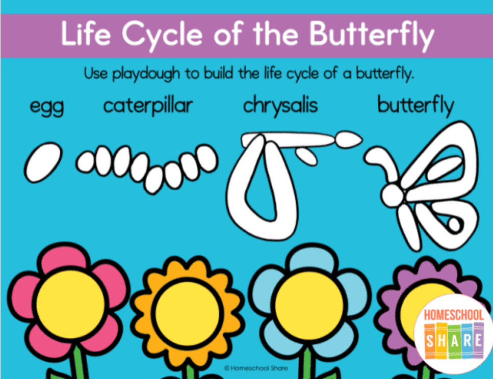 playdough butterfly life cycle