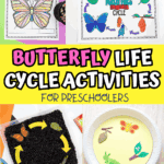 Preschool butterfly life cycle activities featuring cut-and-paste crafts, diagrams, and a butterfly garden kit to teach metamorphosis interactively.