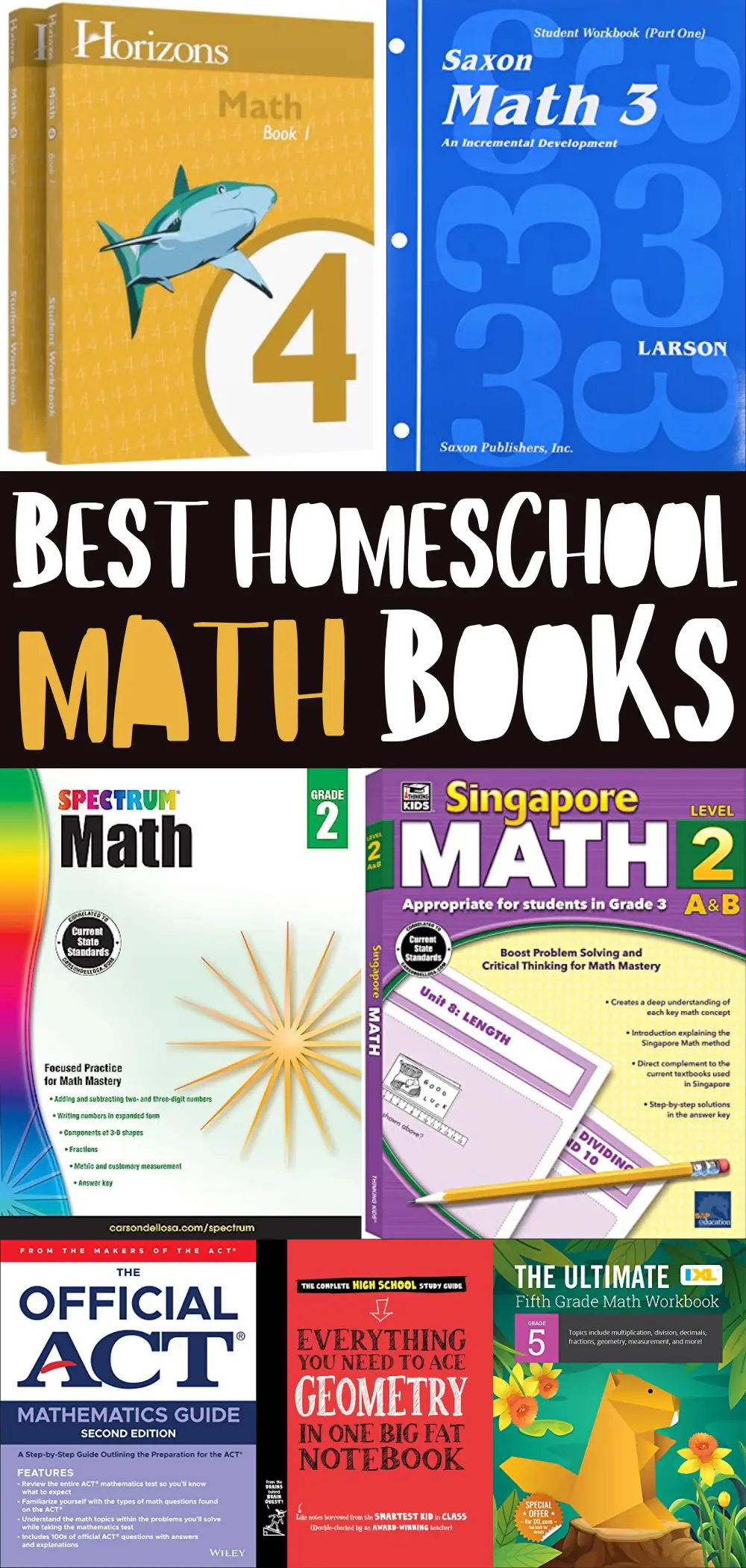 15 Best Homeschool Math Books for All Ages in 2024