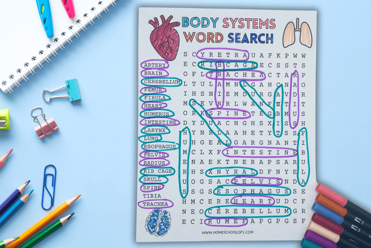 BODY SYSTEM WORD SEARCH PRINTABLE