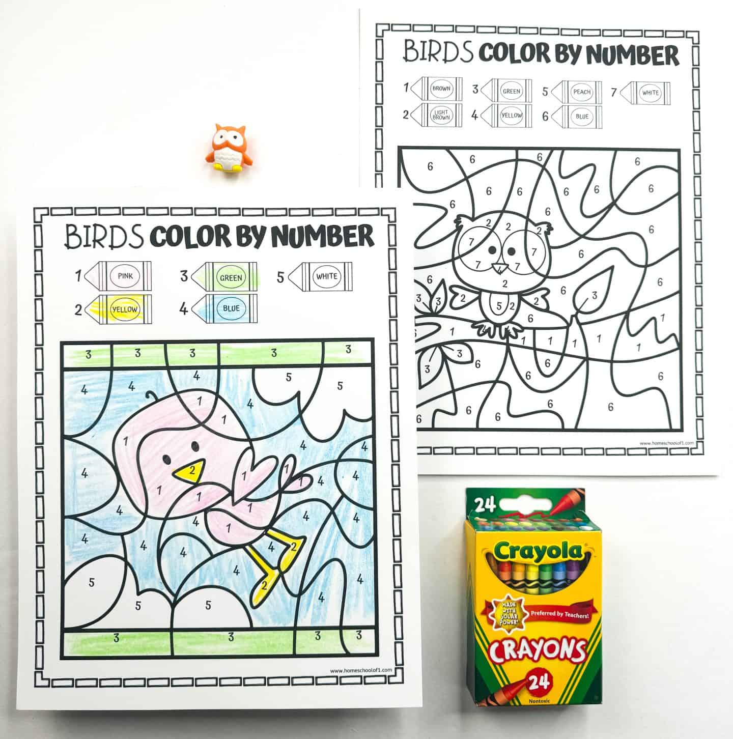 Two bird-themed color-by-number printable worksheets are shown, one partially colored and one uncolored. The colored sheet features a pink bird flying through a blue sky with green grass and white clouds, using a crayon key with pink, yellow, green, blue, and white. A small orange owl toy and a 24-pack of Crayola crayons are also visible on the table.

