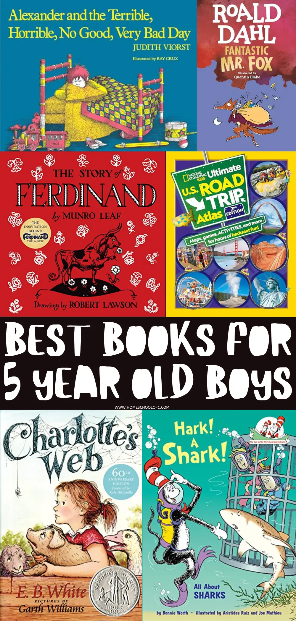 19 Best Books for 5 Year Old Boys in 2024