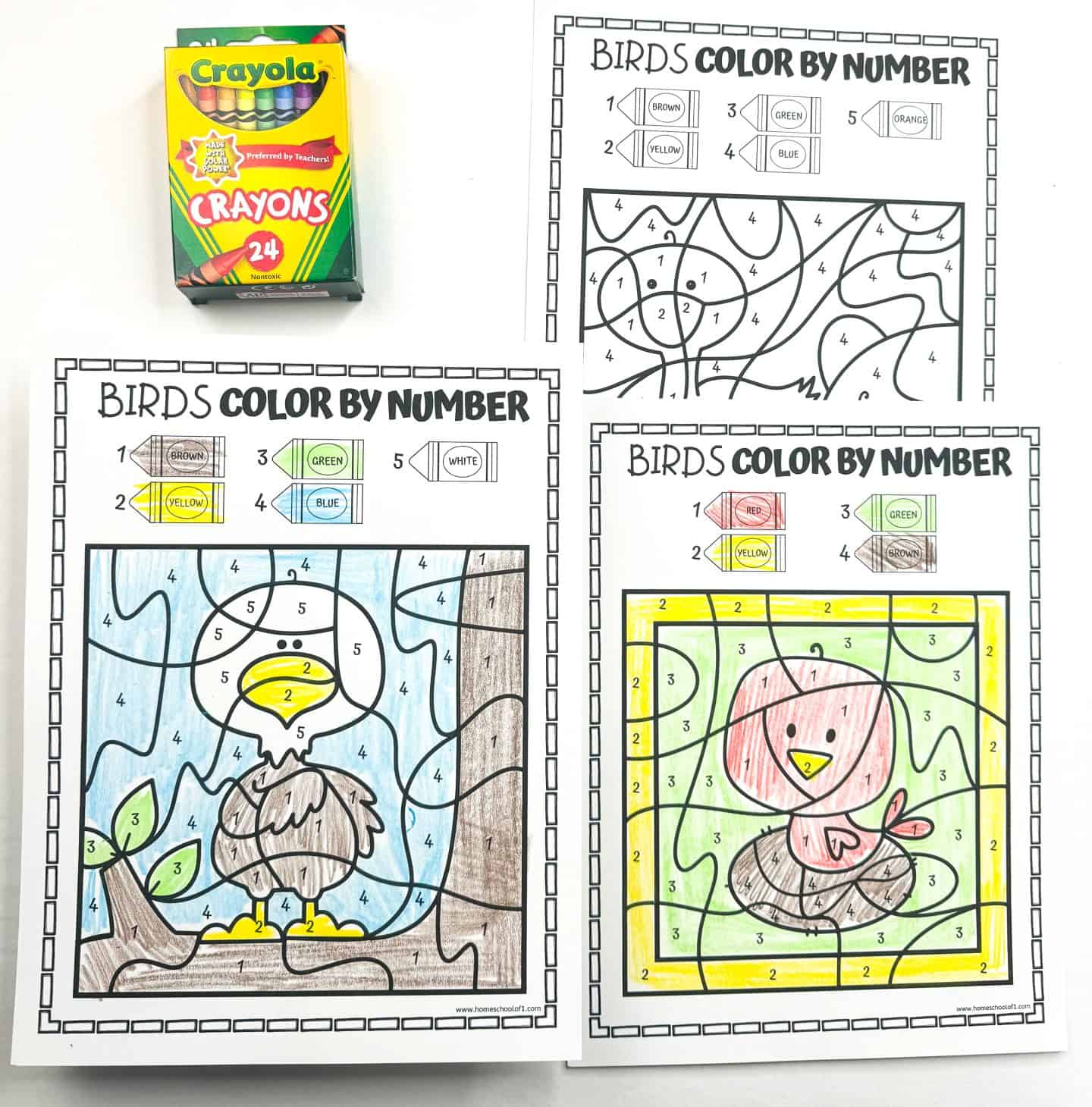 Three bird-themed color-by-number printable worksheets are displayed, with two colored and one uncolored. One sheet features a brown eagle with a yellow beak perched on a branch against a blue sky, and the other shows a pink bird with a yellow beak and green background. A Crayola 24-pack of crayons is placed at the top left of the image.

