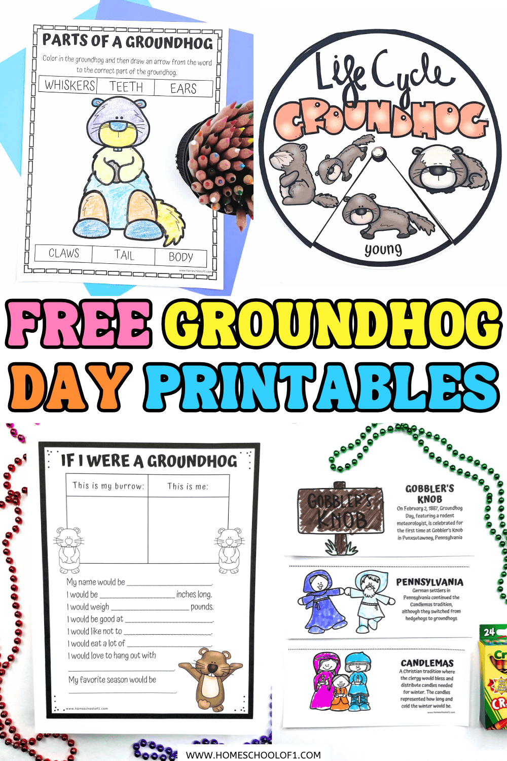 Colorful collage of Groundhog Day printables including anatomy labeling page, life cycle wheel, writing prompt, and history worksheet for kids.