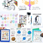 Free letter P activities for preschoolers including coloring pages, penguin worksheets, pirate bingo, pumpkin scavenger hunts, planet printables, and polar bear crafts.