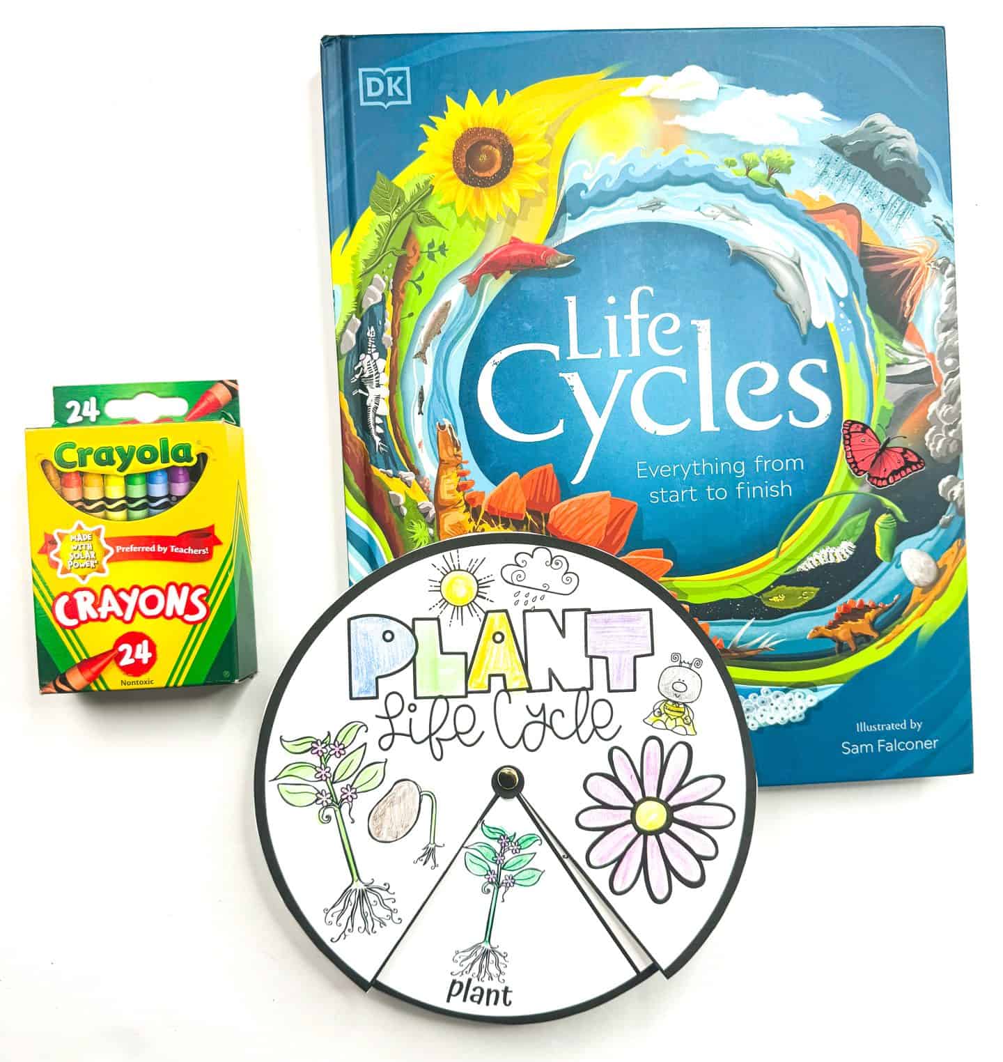 A colorful educational setup includes a DK book titled Life Cycles: Everything from Start to Finish, a box of Crayola 24-count crayons, and a partially colored circular “Plant Life Cycle” wheel. The interactive wheel displays stages of a plant’s development such as seed, germination, seedling, and flower, with a movable top layer pointing to “plant.” Bright colors and playful illustrations make this a fun hands-on learning tool for kids.